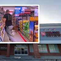 WATCH: K9 Sniffs Out Camouflaged Child Inside Tractor Supply In Hudson Valley