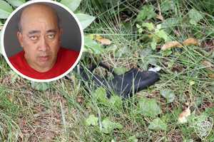 Road Rage: Man Pulls Pellet Gun On Driver, Throws It Near Sidewalk In Westchester, Police Say