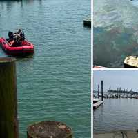 Mysterious Spill In LI Sound Prompts Investigation In Port Chester