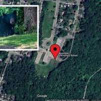 Bear Sighting Near Elementary School In Westchester Prompts Police Response