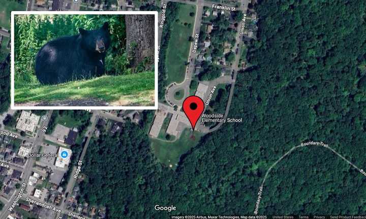 A black bear was seen near Woodside Elementary School in Peekskill on Thursday, June 26. 