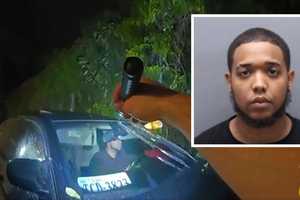 Officer Pinned After New Rochelle Man Rams Patrol Car While Fleeing Traffic Stop: Police