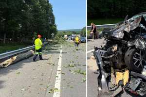 Tree Falls Onto I-87 In NY, Causes Crash