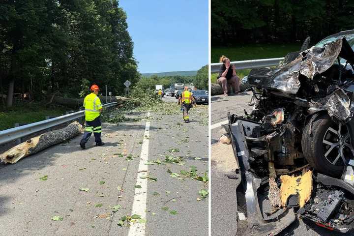 Tree Falls Onto I-87 In NY, Causes Crash