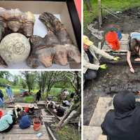 Mastodon Mania: Students Unearth Ice Age Giant in Middletown Backyard Dig