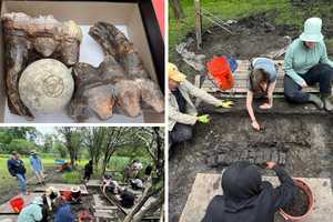 Mastodon Mania: Students Unearth Ice Age Giant in Middletown Backyard Dig