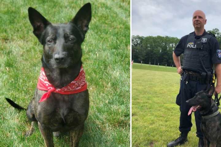 Retired Police K9 Named For 9/11 Hero Mourned In Clarkstown