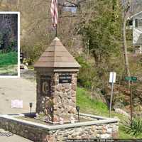 Injured Bear Spotted In Warwick Neighborhoods: Residents Urged to Keep Distance