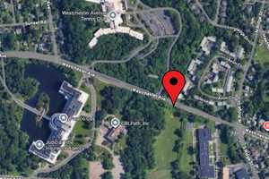 Children, Adults Hospitalized After Fiery Rollover Crash In Westchester