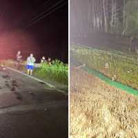 Motorcyclist Crashes 20 Feet Down Embankment In NY