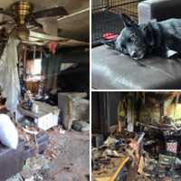 Pets Killed, Home Destroyed In NY Fire: Support Comes To Family
