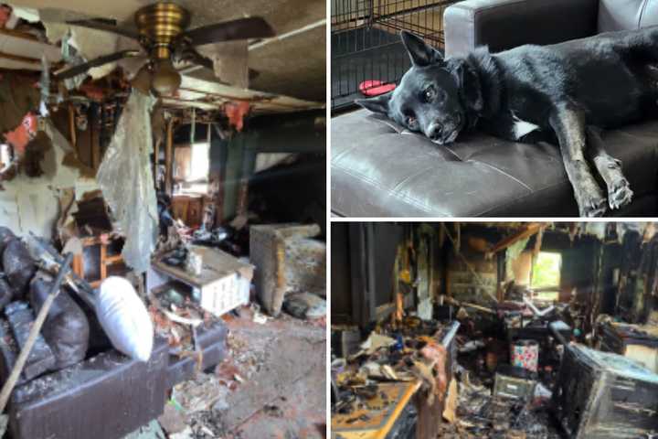 Pets Killed, Home Destroyed In NY Fire: Support Comes To Family