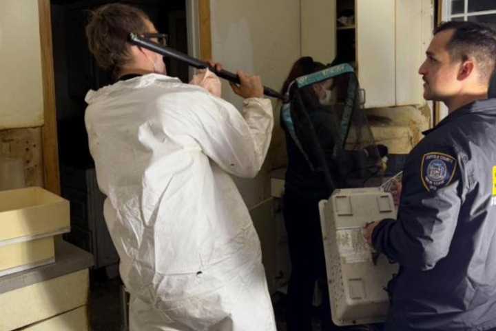 Freezer Full Of Kittens Uncovered In 'Alarming' Home Of Long Island Cat Hoarder, Police Say