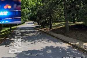 Human Remains Found In Wooded Area Near York Housing Complex