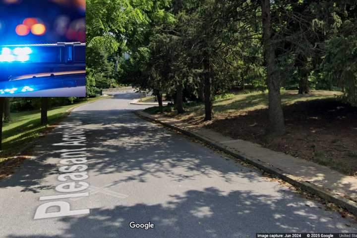 Human Remains Found In Wooded Area Near York Housing Complex