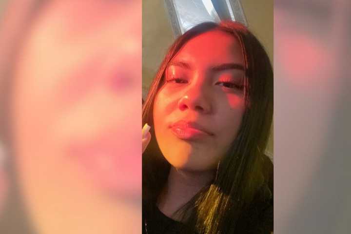 Missing 14-Year-Old Girl From New Cassel May Have Been Heading To Roosevelt Field Mall