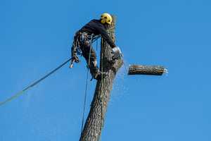 Tree Worker Airlifted After 40-Foot Fall Onto Deck In Wading River