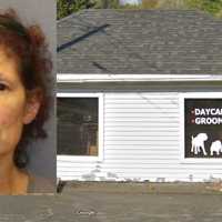 Doggie Daycare Owner 'Intentionally' Killed Companion Animal In Region, Police Say