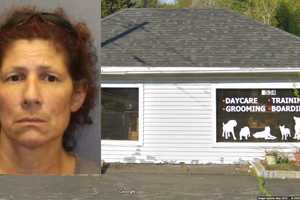 Doggie Daycare Owner 'Intentionally' Killed Companion Animal In Halfmoon, Police Say