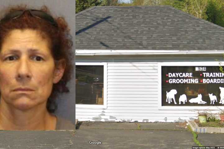 Doggie Daycare Owner 'Intentionally' Killed Companion Animal In Halfmoon, Police Say