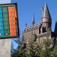 NY Native Cast As Dumbledore In HBO’s ‘Harry Potter’ Series