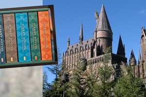 NY Native Cast As Dumbledore In HBO’s ‘Harry Potter’ Series