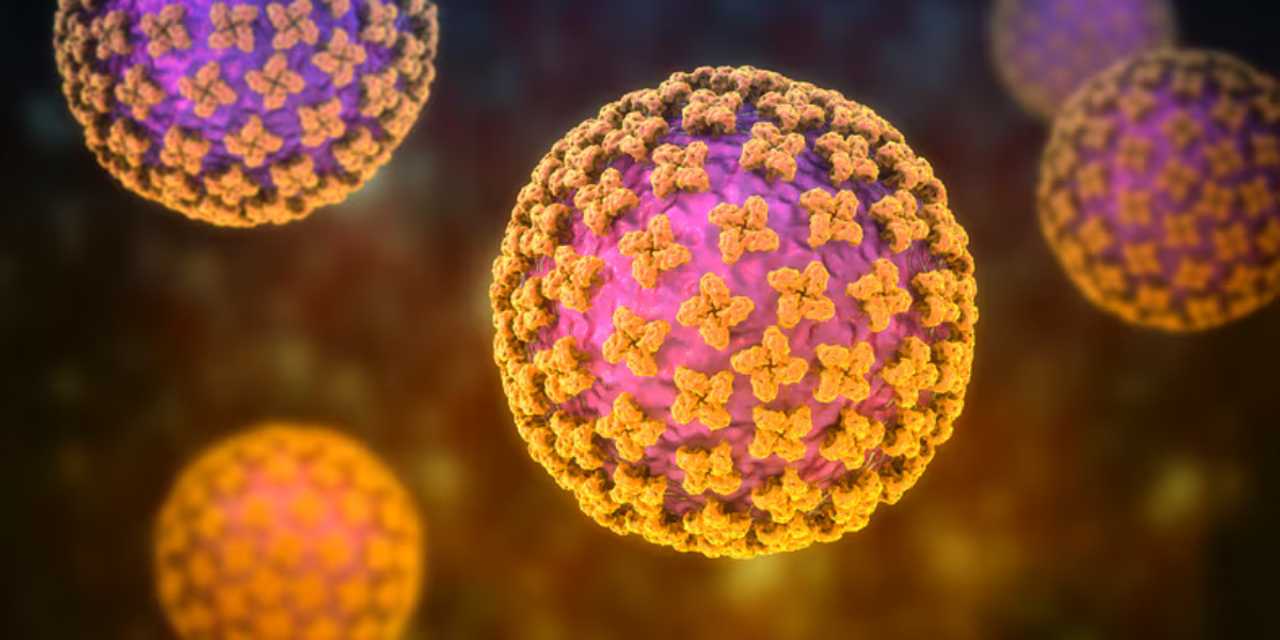 'Tragic, Alarming': 3 Dead From Rare Hantavirus That Killed Actor Gene
