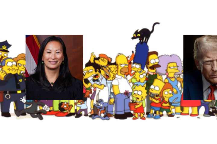 Judge Cites Simpsons Episode In Ruling Against Trump Affecting MD, 13 Other States