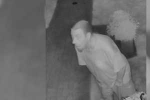 Ponytailed Burglar Scared Off From Long Island Home, Police Say