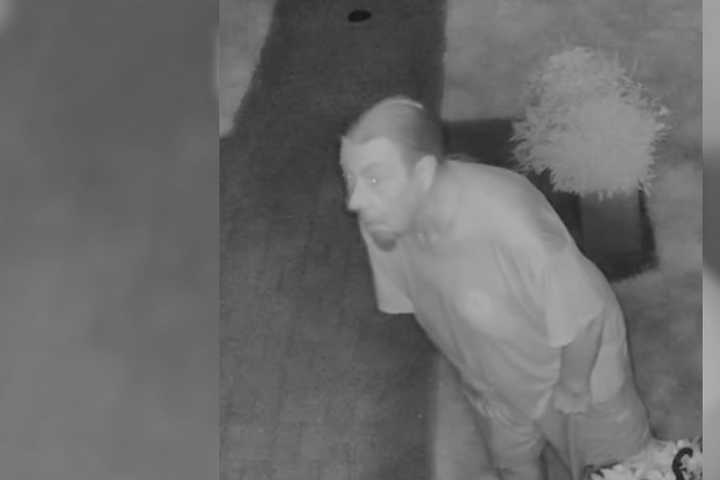 Ponytailed Burglar Scared Off From Long Island Home, Police Say
