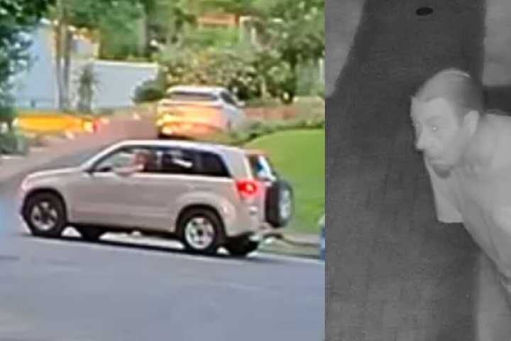 Ponytailed Burglar Scared Off From Bayville Home, Police Say