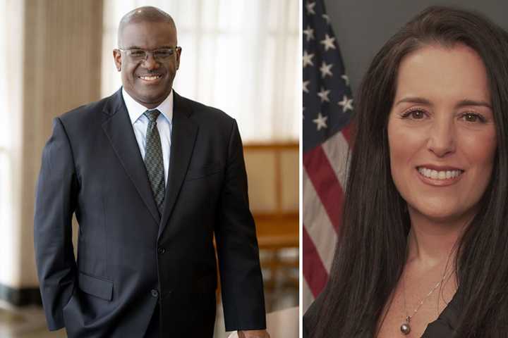 Meet Candidates For Westchester County Executive: Here's Special Election Date