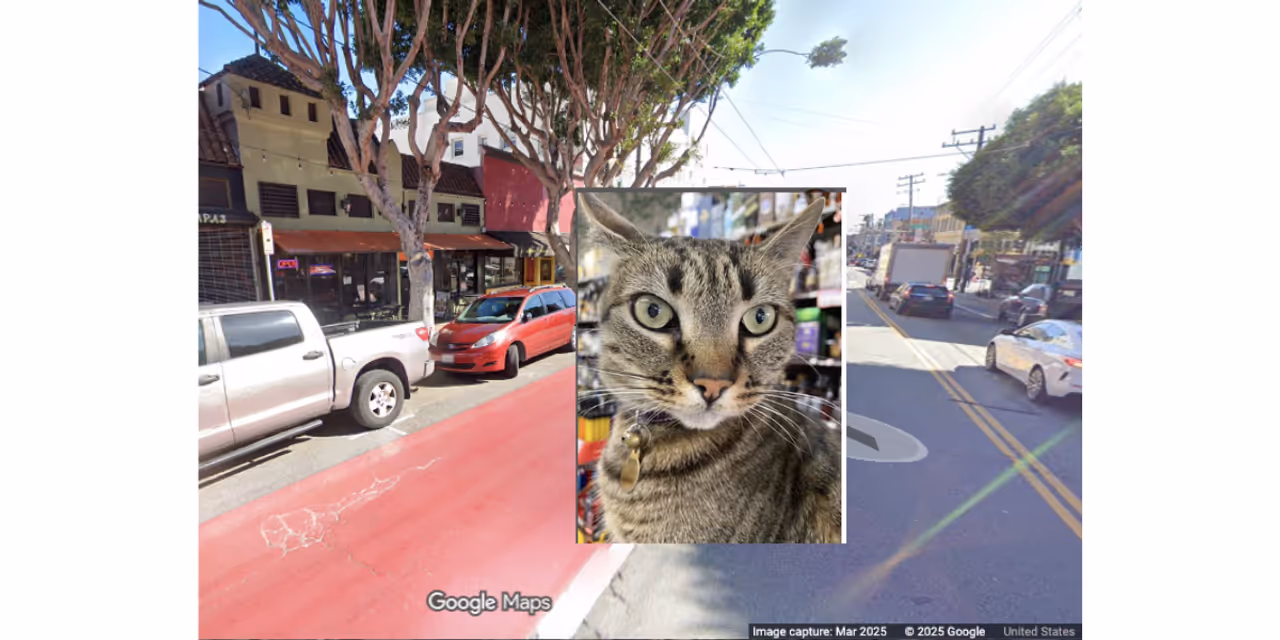 The collision happened in this area of San Francisco’s Mission District. Inset: KitKat. The collision happened in this area of San Francisco’s Mission District. Inset: KitKat.