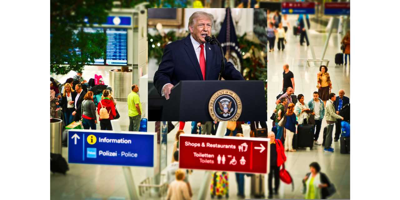 Trump ICE Airport Plan: President Says Agents Could Replace TSA Workers ...