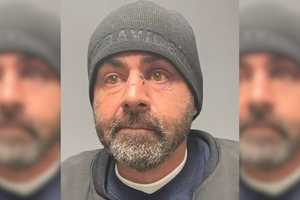 North Branford Dad Who Stabbed Dog To Death In Living Room Sentenced To Prison: State