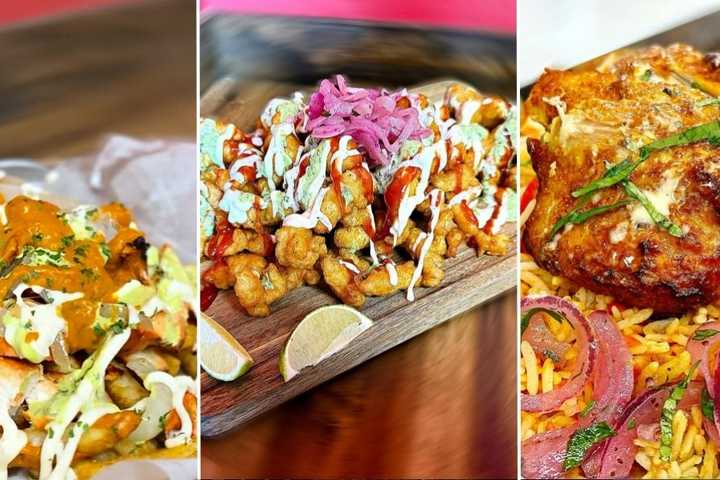 Crave This: Pakistani Street Eats Draw Rave Reviews For New Troy Restaurant