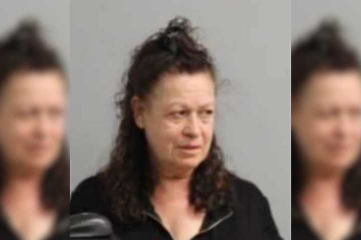 Pomfret Woman Tried to Run Over 3 Children in Front Yard Rage Attack: Police