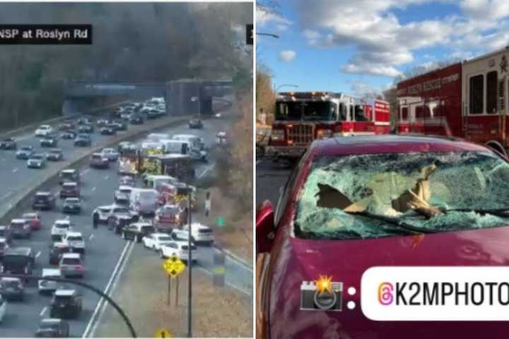 Tree Impales Woman Driving On Northern State Parkway