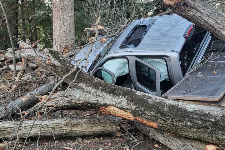 Feet Away From Death: Massive Tree Crushes Truck In Westport