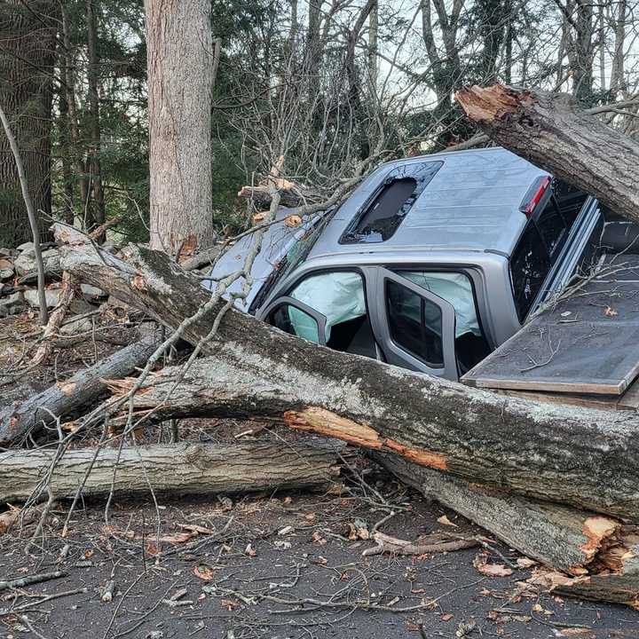 A tree collapsed onto a truck in Westport on Wednesday morning, Dec. 4.&nbsp;