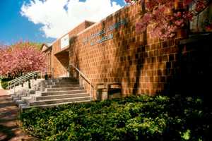 Money Snatched From Donation Box At Rutgers Museum: Police