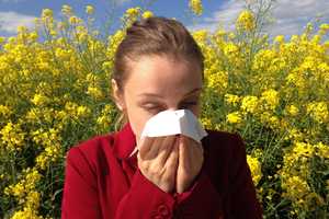 Popular Allergy Drugs Have Unbearable Itching Side Effect, FDA Warns: What To Know