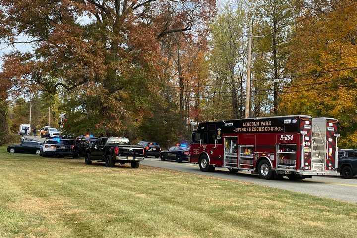 Driver Disregarded Crossing Gates Before Being Struck, Killed By NJ Transit Train: Officials