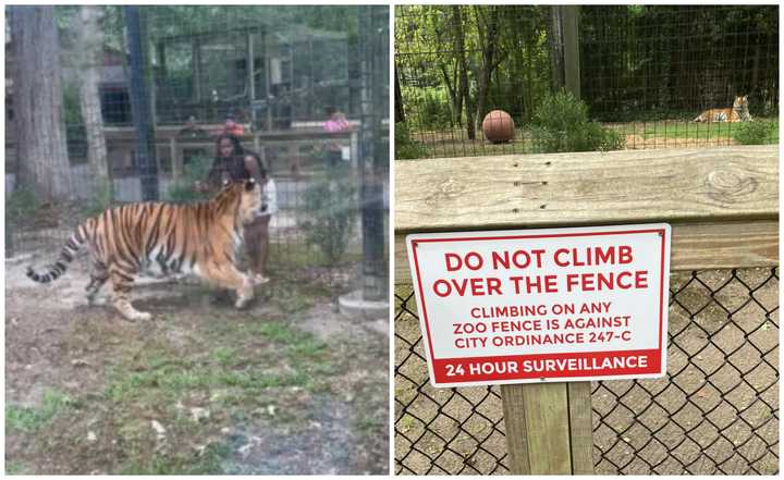 An intruder was seen in the tiger enclosure at the Cohanzick Zoo in Bridgeton, NJ.