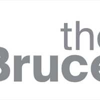 Best Art Museum/Gallery In Fairfield County In 2024: The Bruce Museum