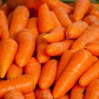 1 Dead, Dozens Sickened In 18 States, Including MA, From E. Coli Outbreak Linked To Carrots