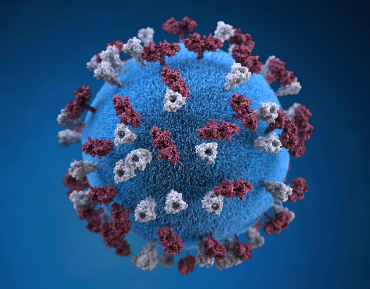 A 3D rendering of a measles virus particle.&nbsp;