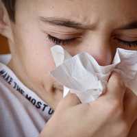 <p>RSV activity is particularly high among young children, leading to increased admissions in pediatric hospitals since November.</p>