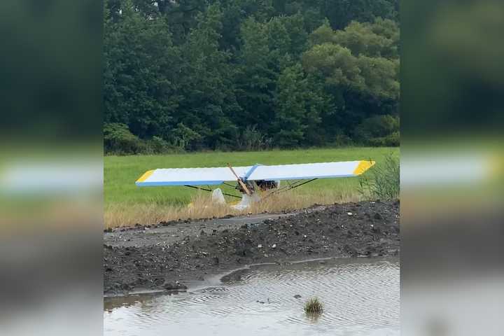 Thief Crashed Stolen Plane In Jersey Shore Field, Confessed To Burglaries: Troopers