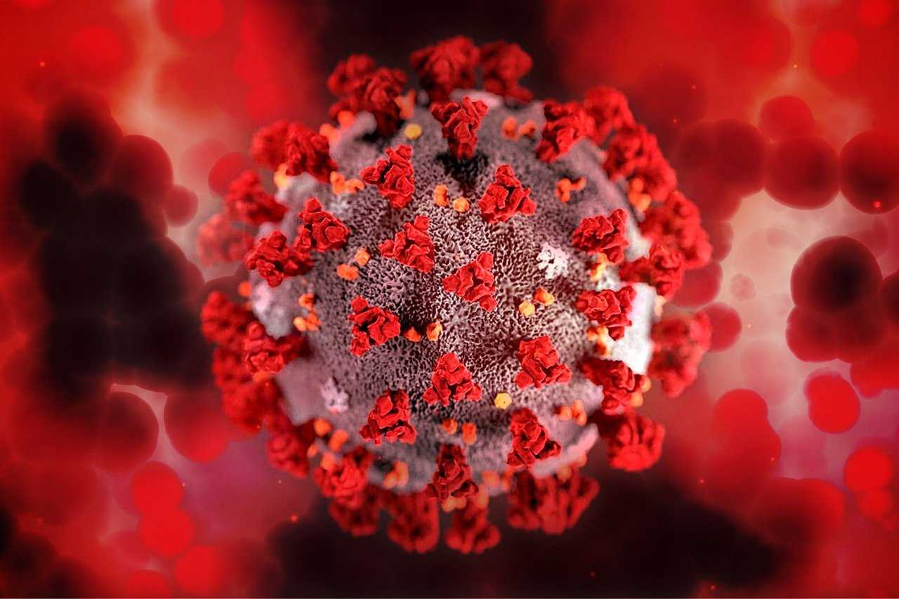 Covid-19: Highly Transmissible Strains Spark Summer Surge In Some States